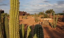 Residencies